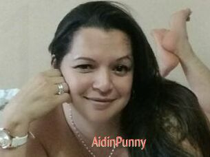 AidinPunny