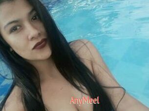 AnyMeel