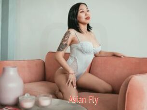 Asian_Fly