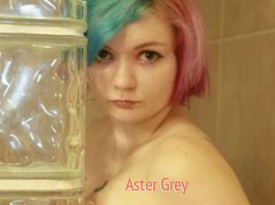 Aster_Grey