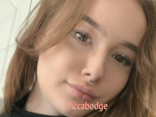 Accabodge