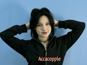 Accacopple