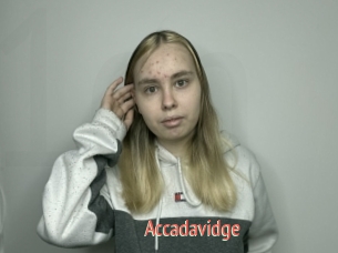 Accadavidge