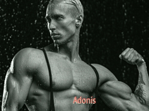 Adonis_