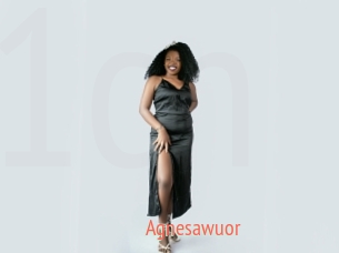 Agnesawuor