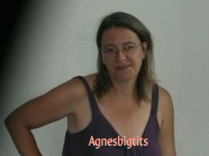 Agnesbigtits