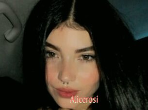 Alicerosi
