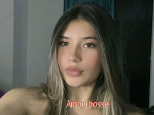 Amberbosse