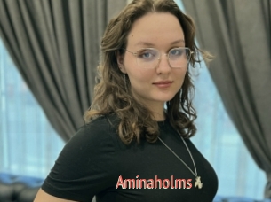 Aminaholms