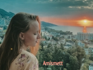 Amismett