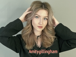 Amitygillingham