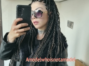 Amodelwhoisnotamodel
