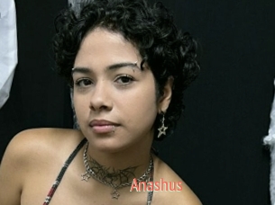 Anashus