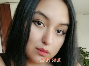 Andy_sout