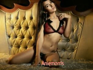 Aniemorris