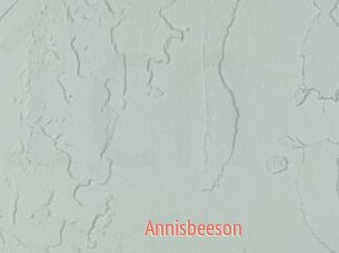 Annisbeeson