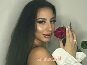 Annitadavid