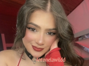 Antonelawildd