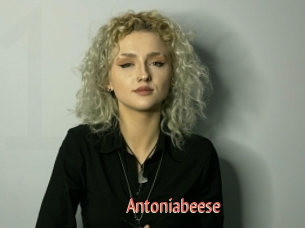 Antoniabeese