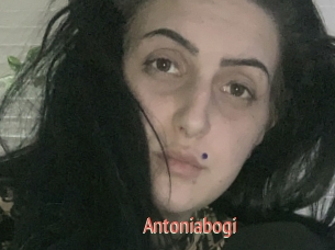 Antoniabogi