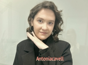 Antoniacavell