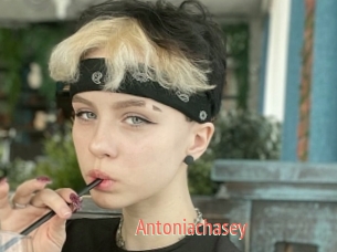 Antoniachasey