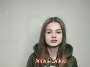 Antoniacordner