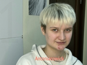 Antoniacowick
