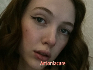 Antoniacure