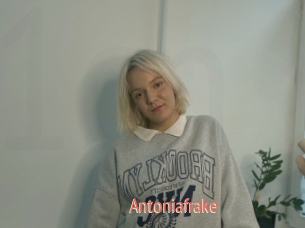 Antoniafrake