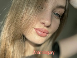 Antoniagary