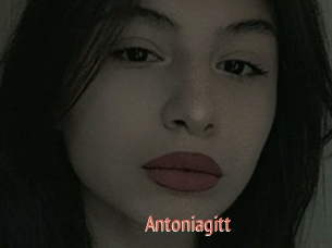 Antoniagitt