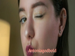 Antoniagodbold