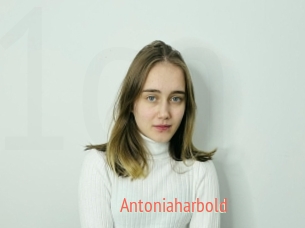 Antoniaharbold