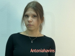 Antoniahavins
