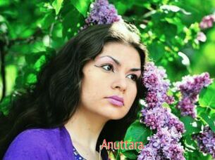 Anuttara