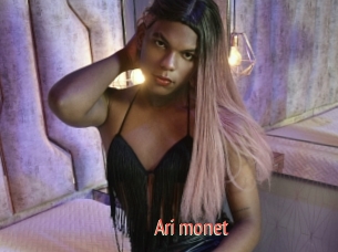 Ari_monet