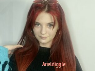 Arieldiggle