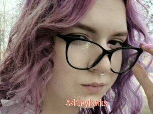 Ashleybarks