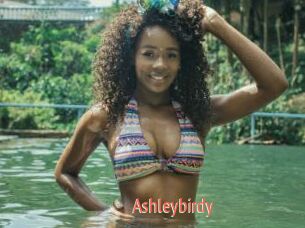 Ashleybirdy