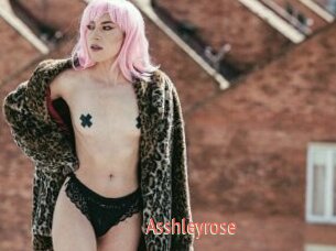 Asshleyrose