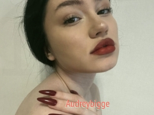 Audreybigge