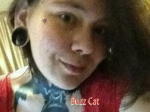 Buzz_Cat