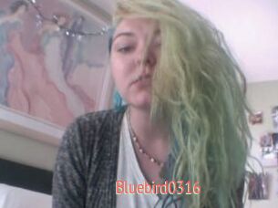 Bluebird0316