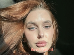 Breedensford