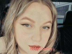 Bridgetharkey