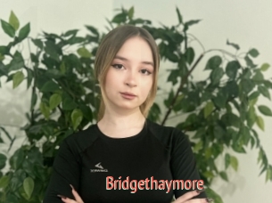 Bridgethaymore