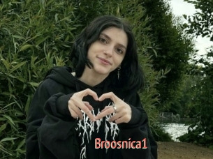 Broosnica1