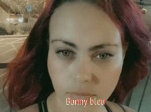 Bunny_bleu