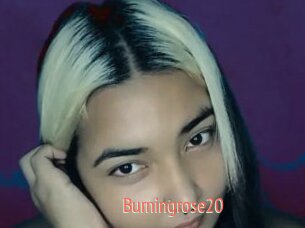 Burningrose20